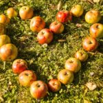 The Benefits of Mindful Eating and How to Practice It