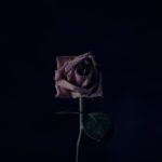 The Winter Blues: How To Avoid Them When You Are Older