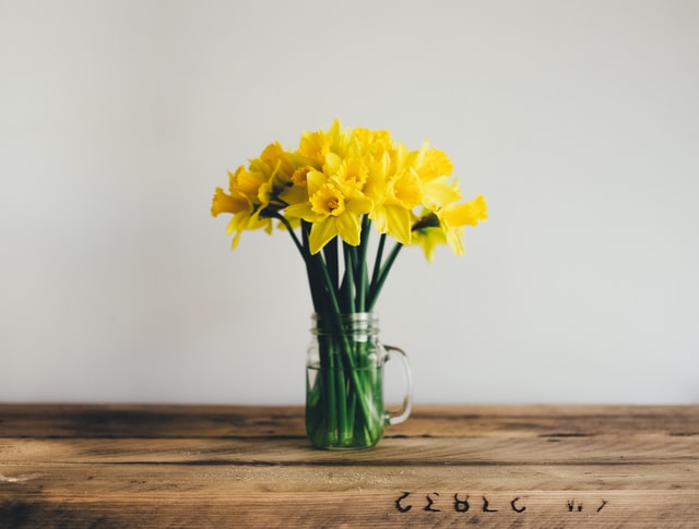 vase of daffodils - spring is here burnout